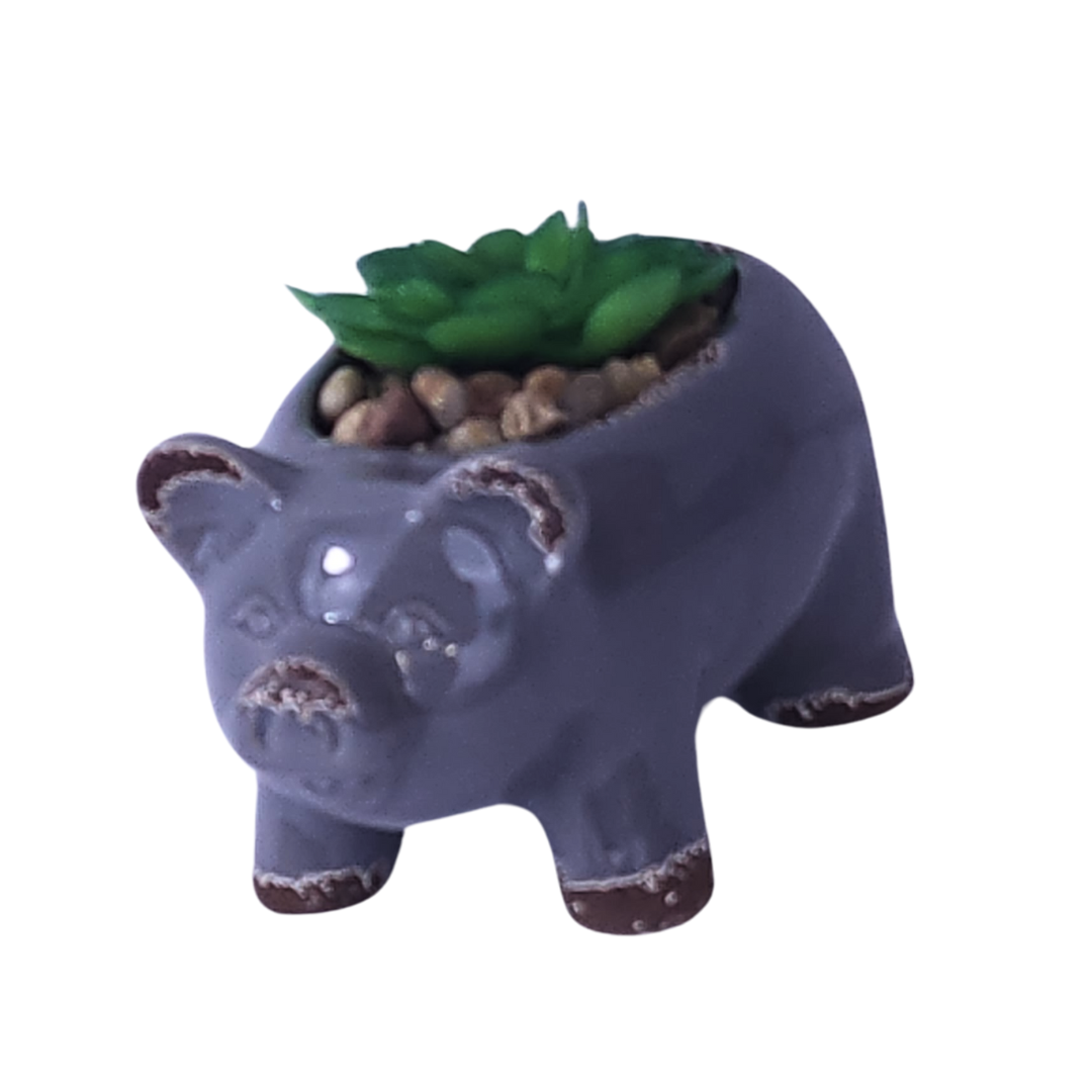 Gray Pig with Faux Succulent image 0