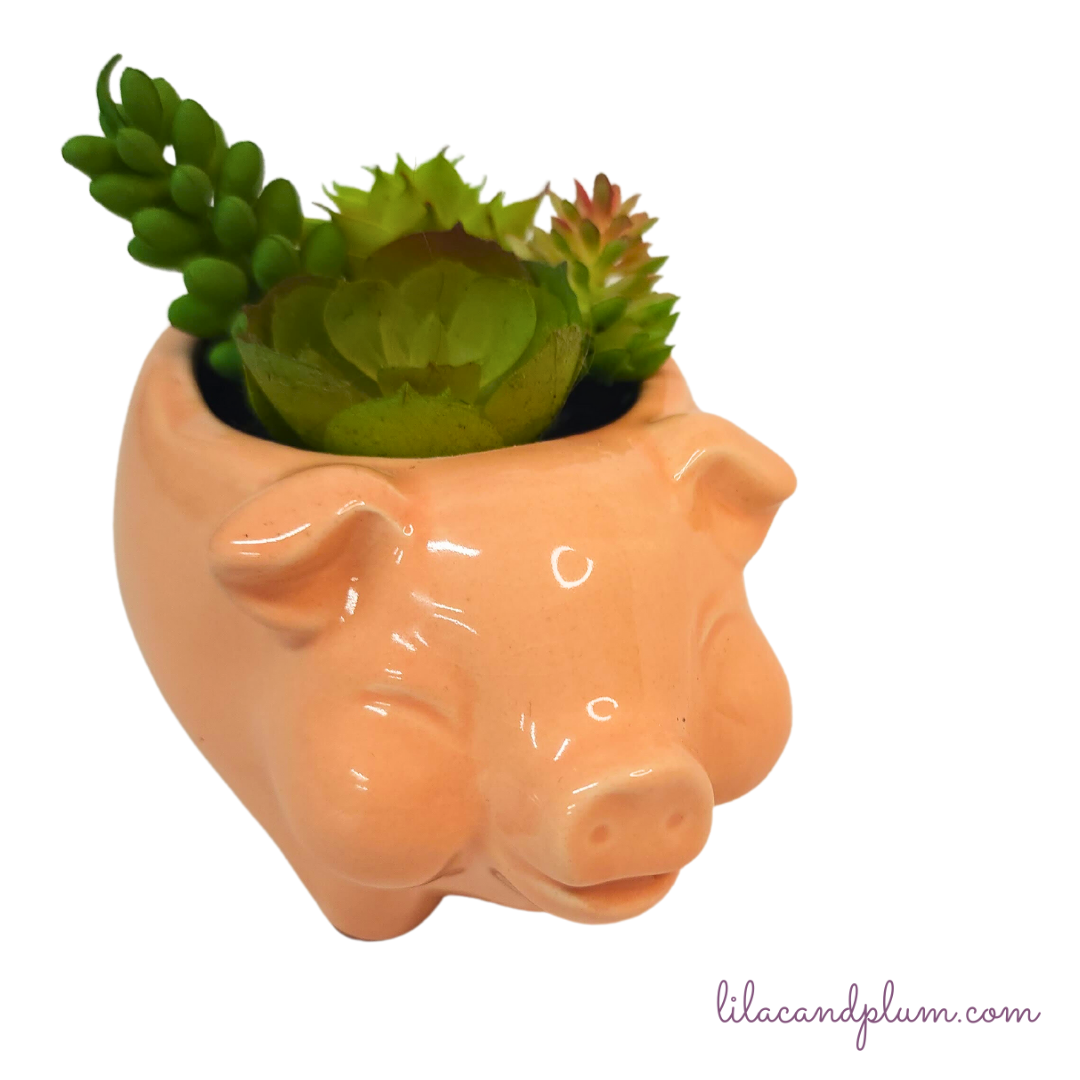 Mini Pot Pig with Faux Succulents image 0