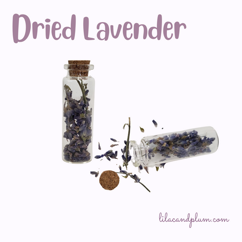 15 mL Dried Lavender image 0