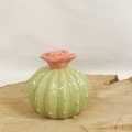 Ceramic Succulent with Flower image 0