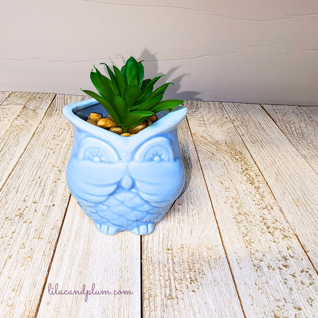 Owl Mini Succulent Planters image 1