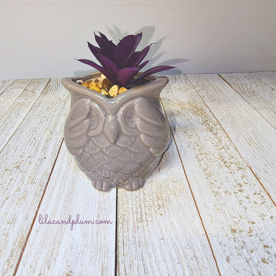 Owl Mini Succulent Planters image 2