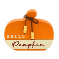 Hello Pumpkin Orange Pumpkin Sign image 0