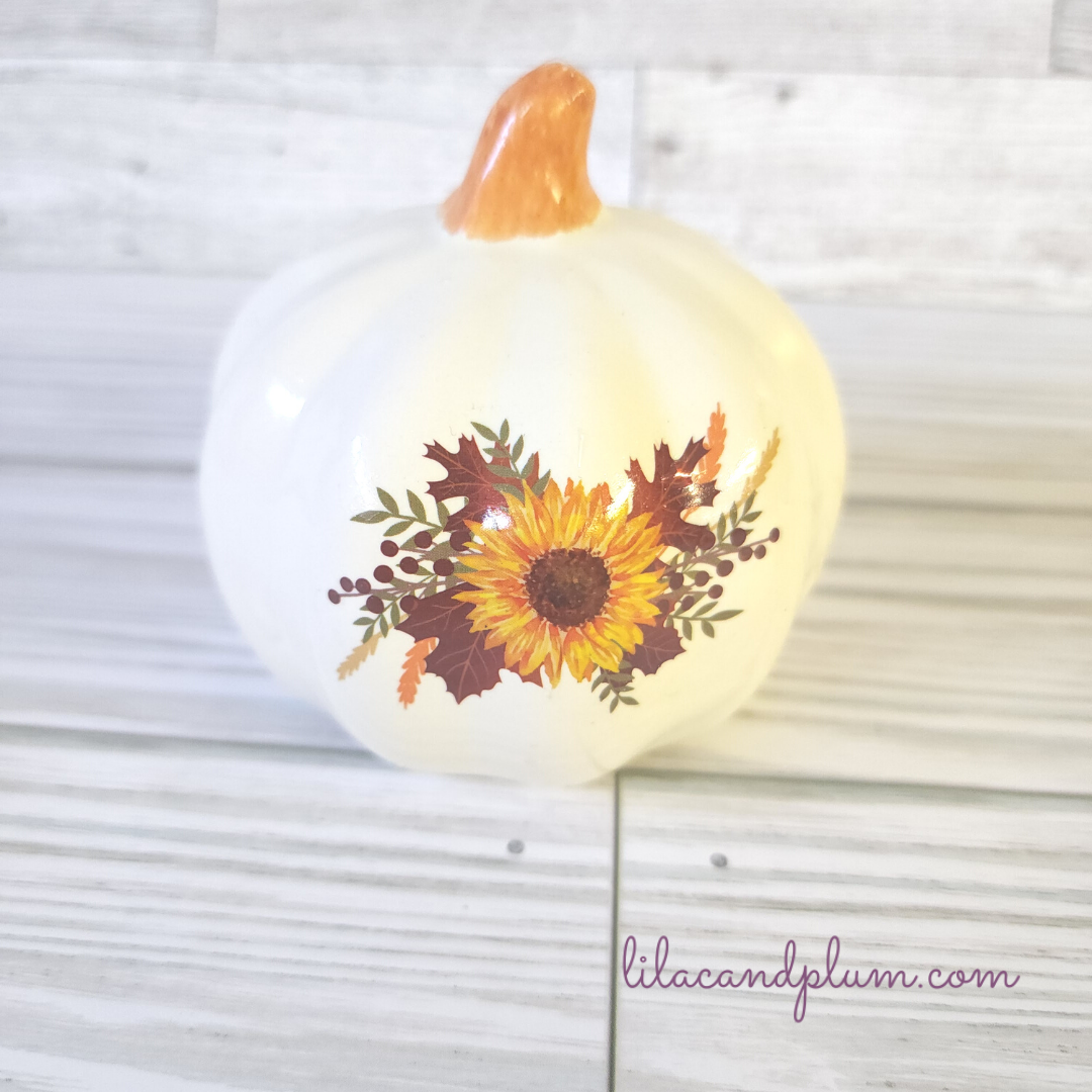 White Decorative Pumpkins image 2