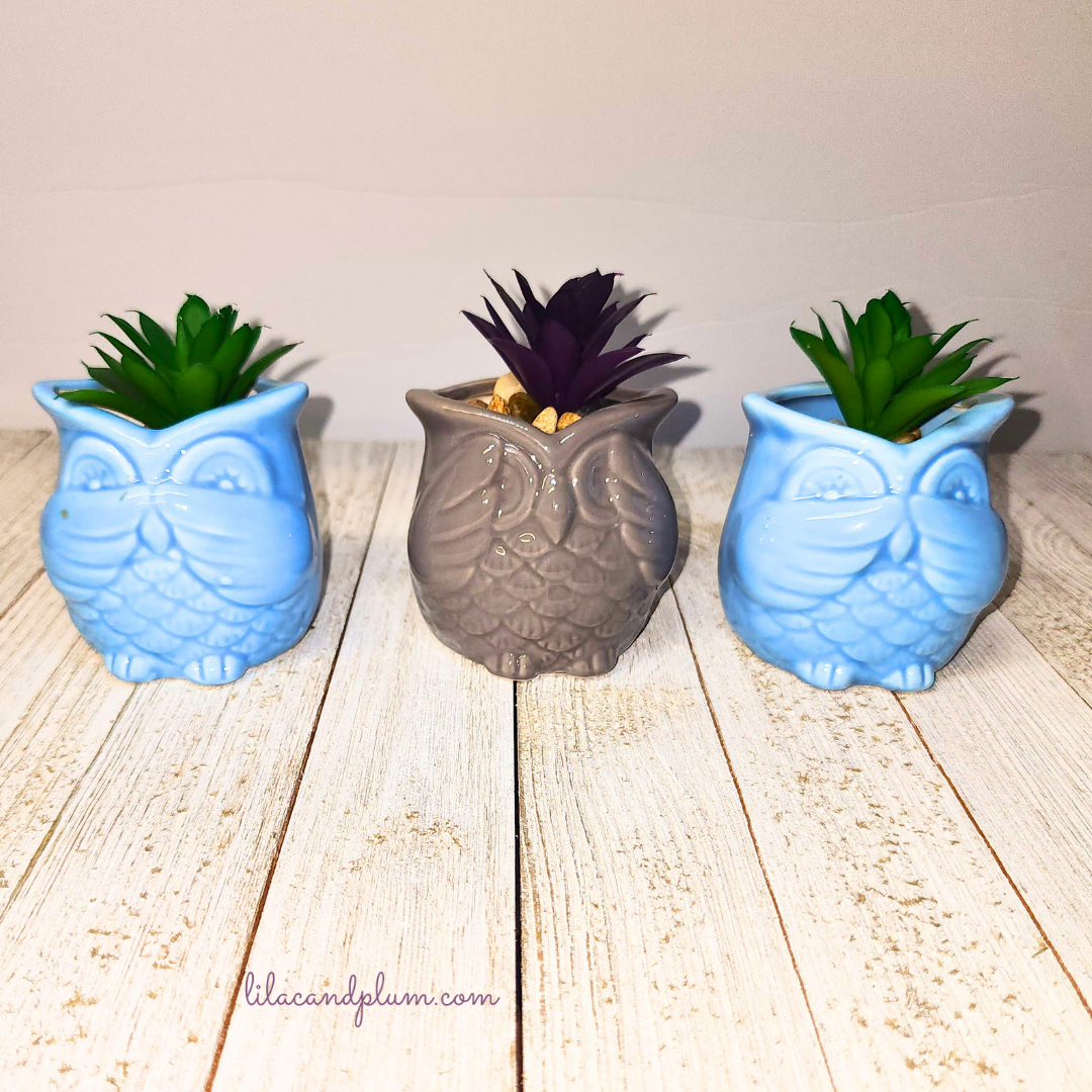 Owl Mini Succulent Planters image 0