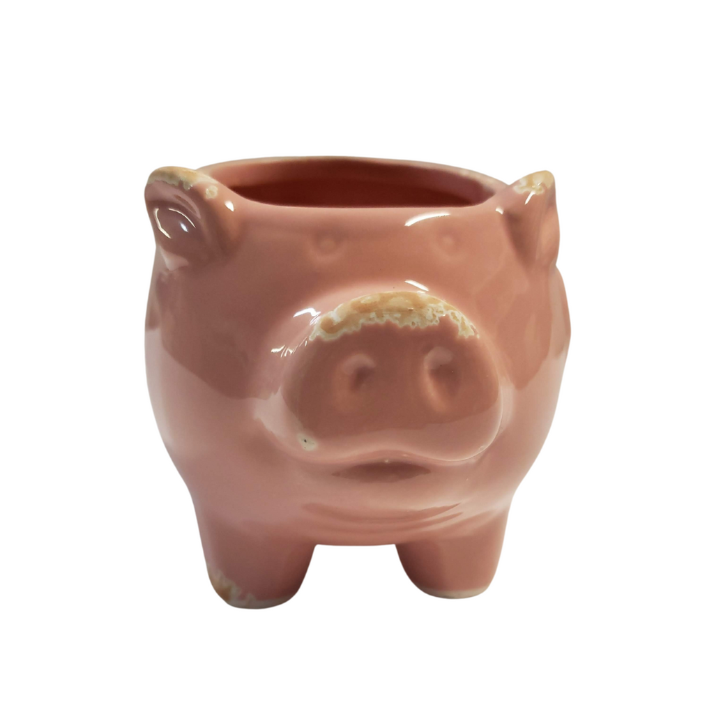 Oink the Pig Mini Planter image 1