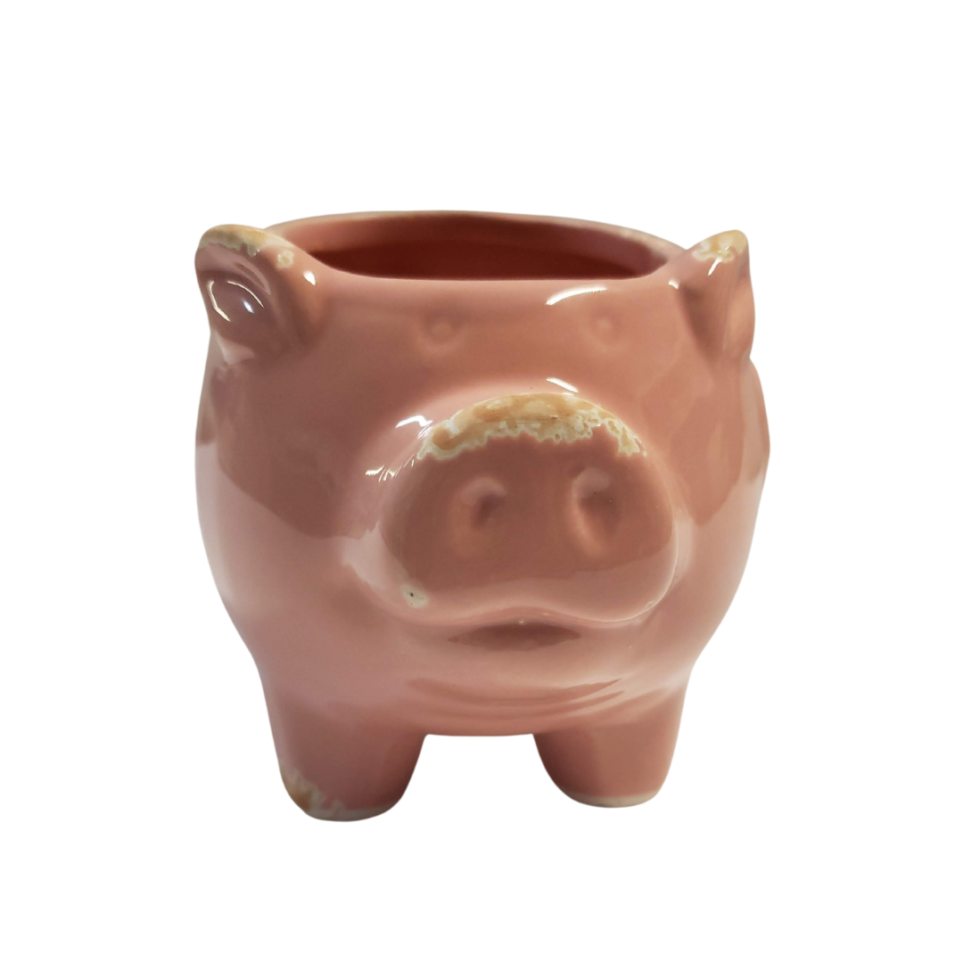 Oink the Pig Mini Planter image 1