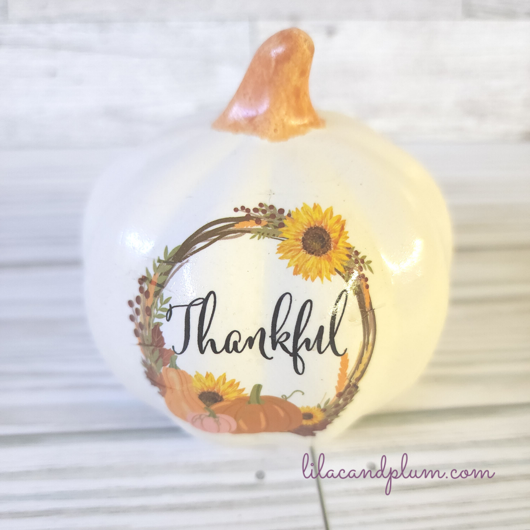 White Decorative Pumpkins image 0