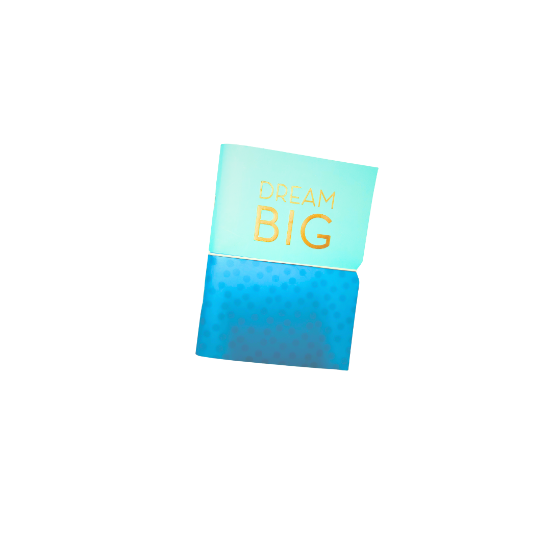 Dream BIg Journal image 0