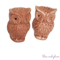 Owl Salt & Pepper Shakers image 0