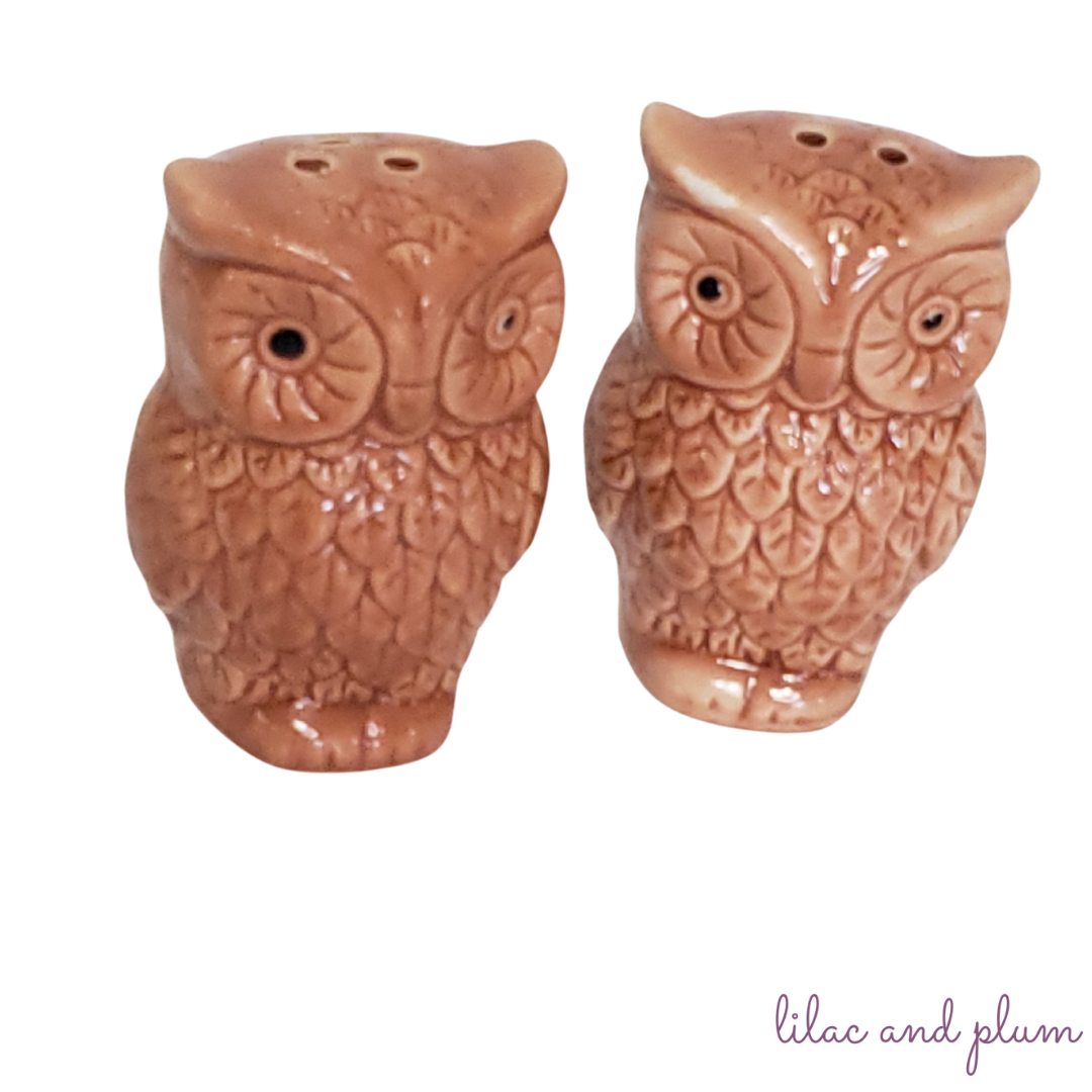 Owl Salt & Pepper Shakers image 0