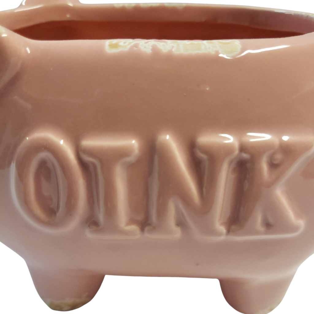 Oink the Pig Mini Planter image 2