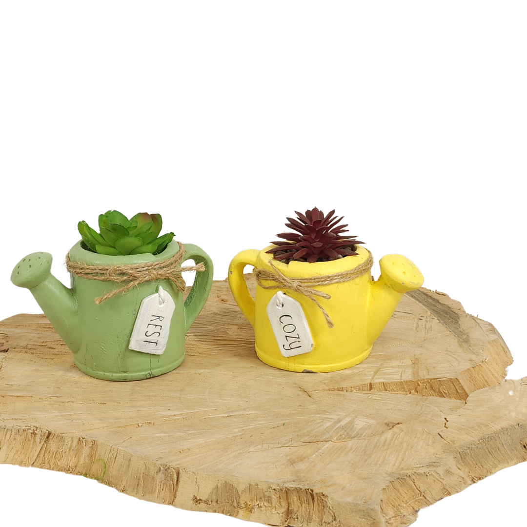 Ceramic Watering Can with Faux Succulent image 0