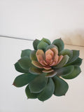 Large Faux Succulent image 0