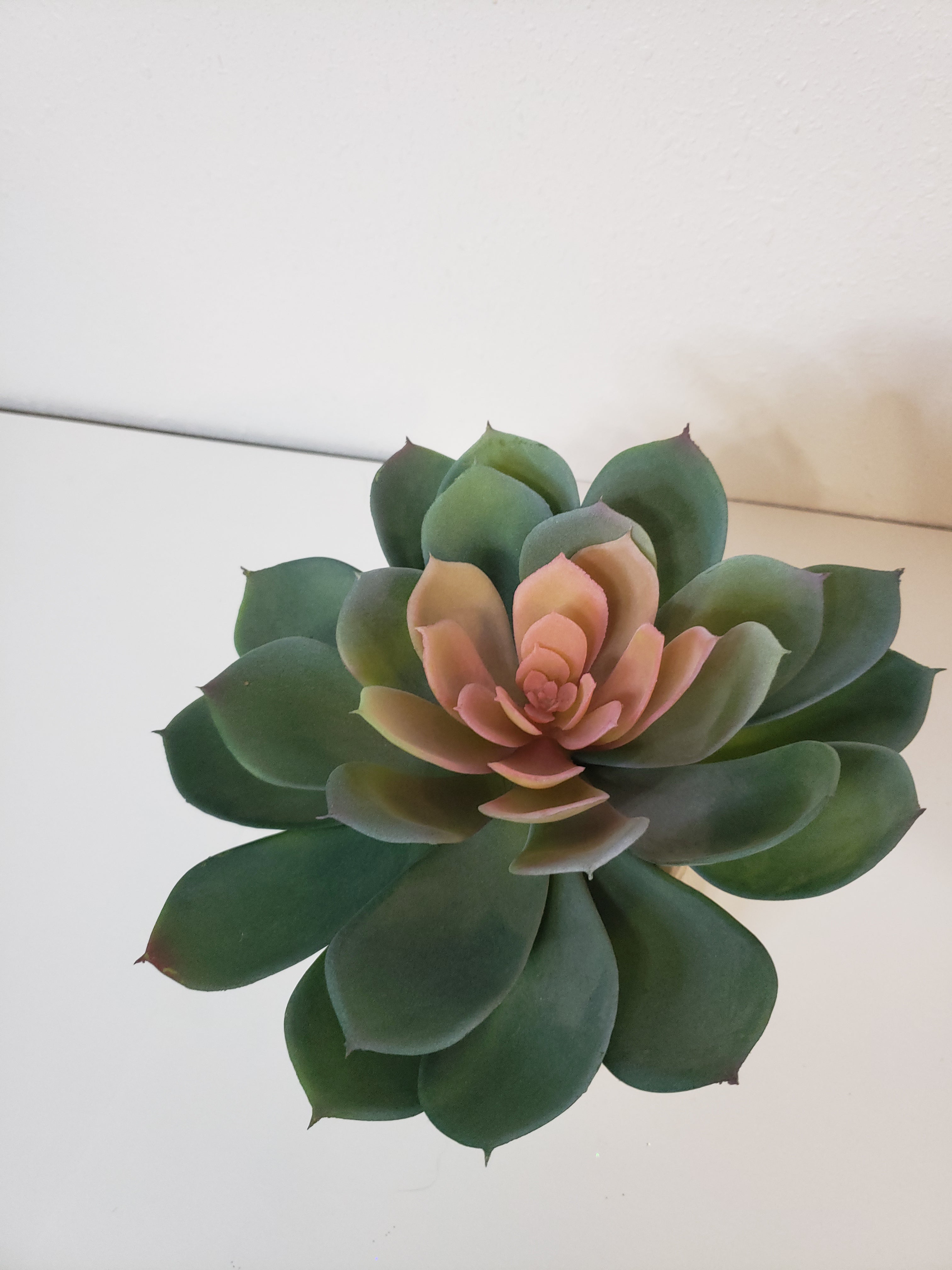 Large Faux Succulent image 0