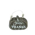 Give Thanks Mini Pumpkin Hanging Sign image 0