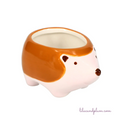 Harvey the Hedgehog Mini Planter image 0
