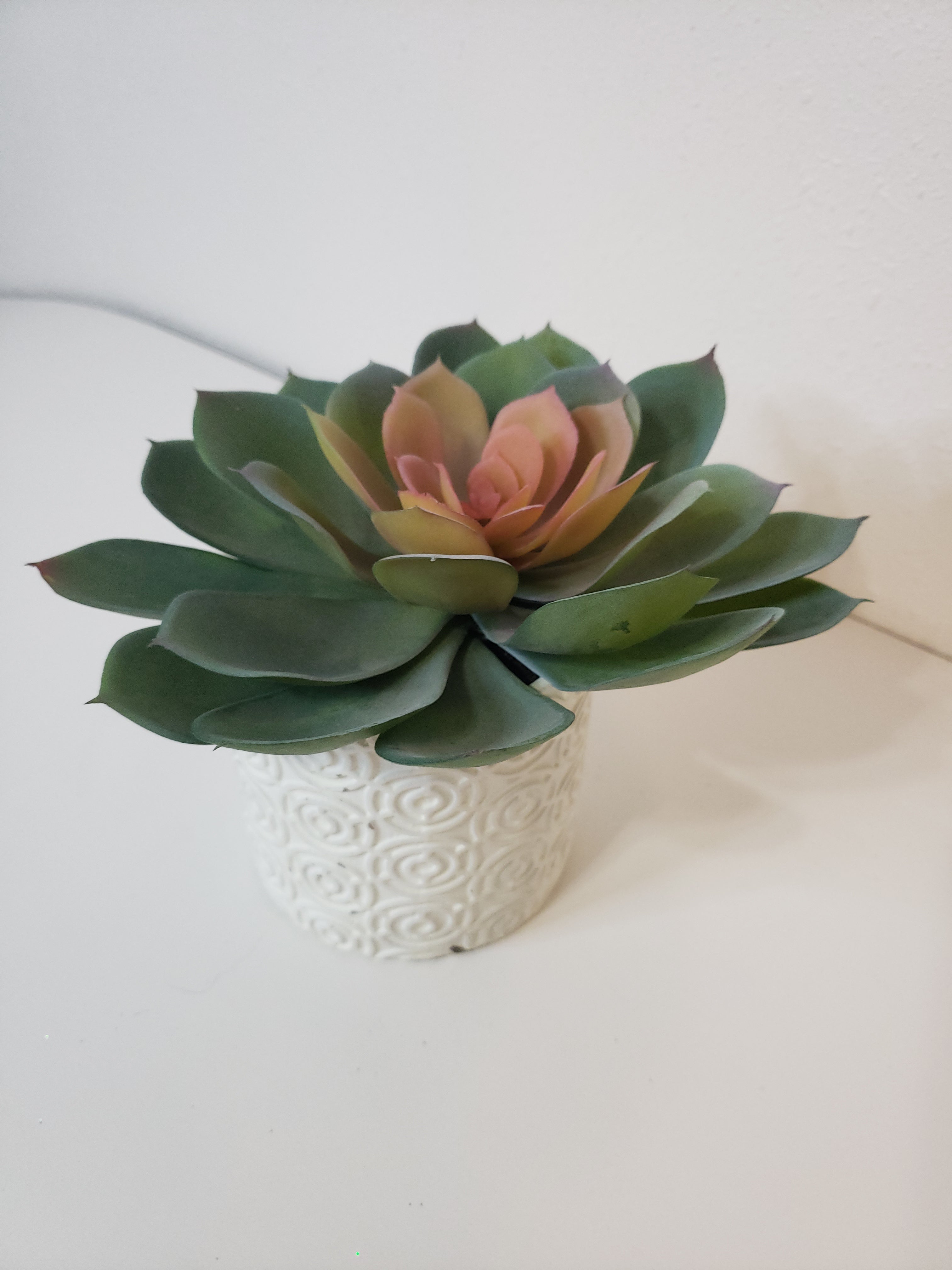Large Faux Succulent image 1