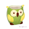 Orlando the Owl Mini Planter image 0