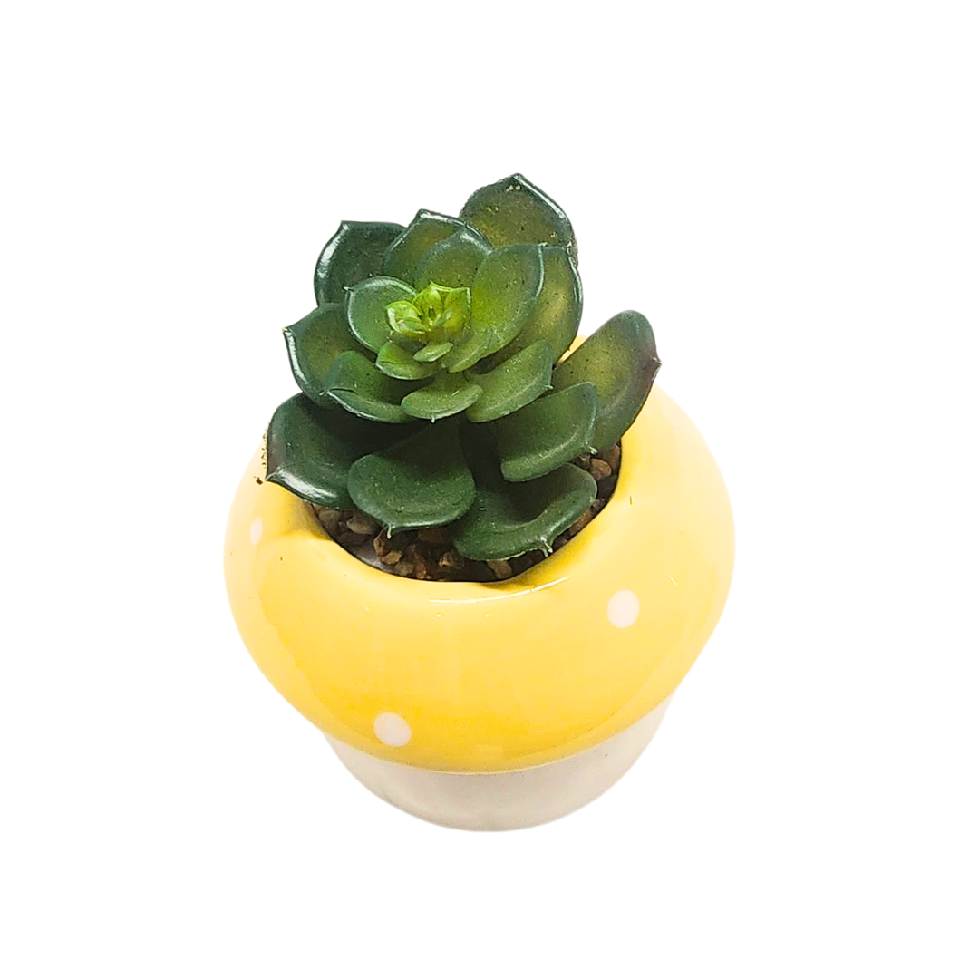 Succulent in Mushroom Pot image 0