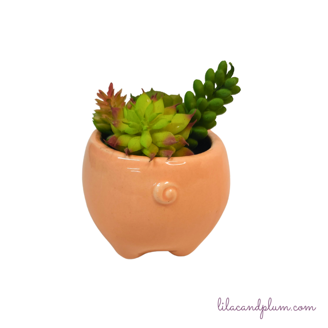 Mini Pot Pig with Faux Succulents image 2
