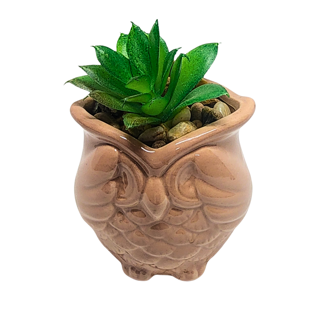 Owl Mini Succulent Planters image 3