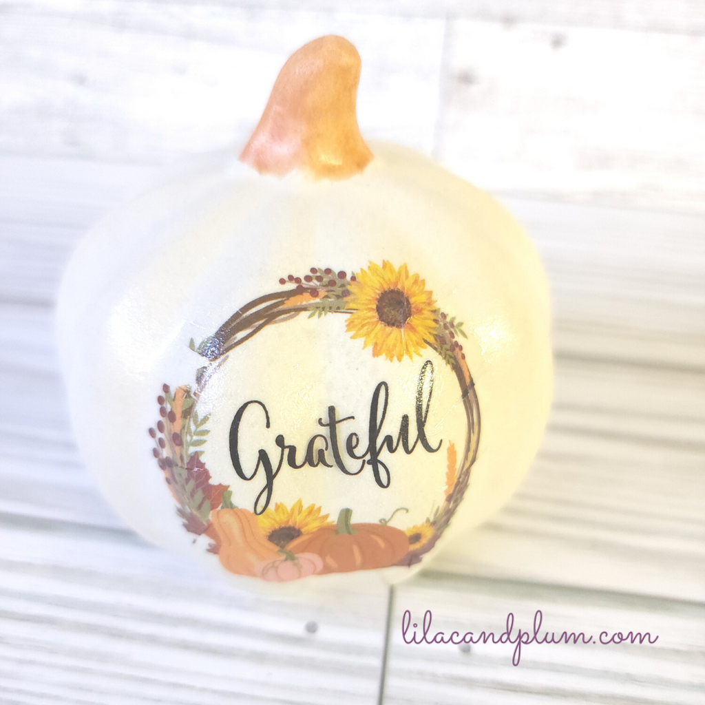 White Decorative Pumpkins image 1