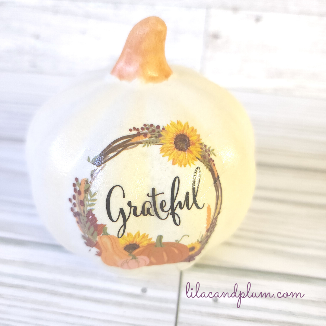 White Decorative Pumpkins image 1