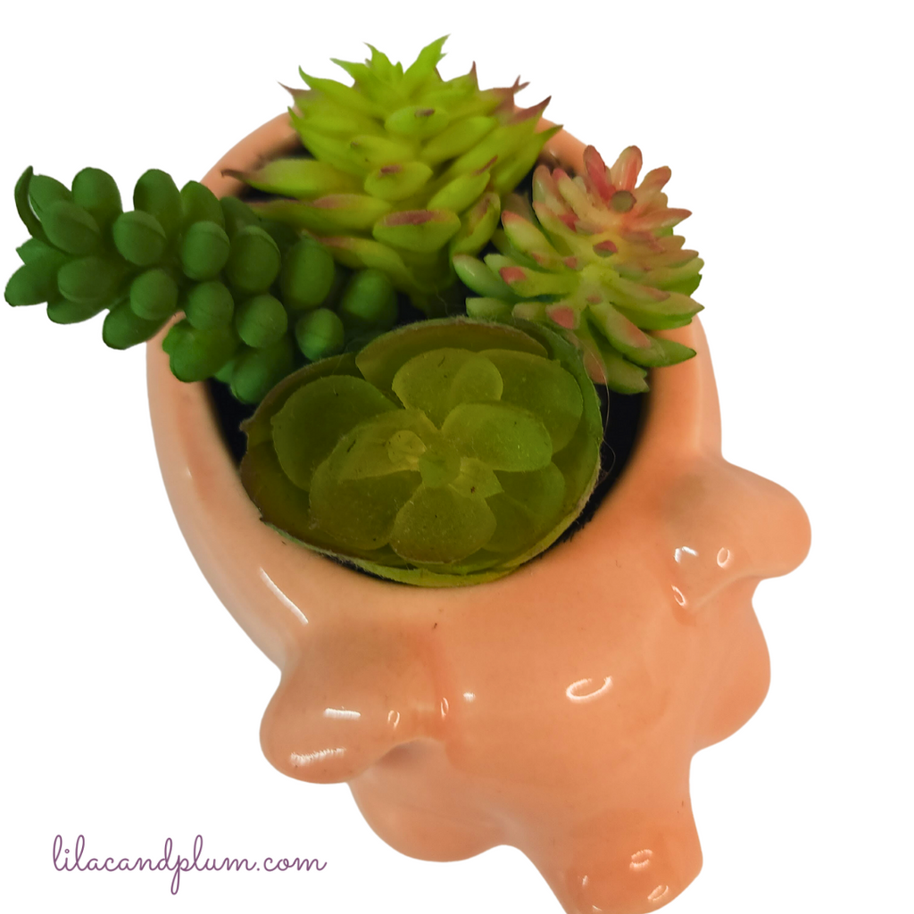 Mini Pot Pig with Faux Succulents image 1