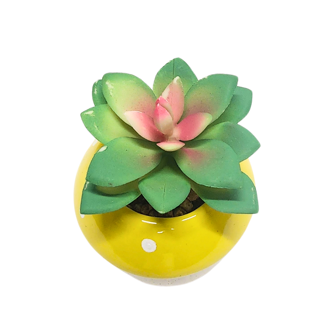 Succulent in Mushroom Pot image 1